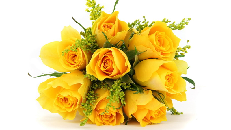 white, bunch of flowers, celebration, arrangement, leaf, love, studio shot, close-up, isolated, 1080P, beauty In Nature, flowers, day, backgrounds, yellow