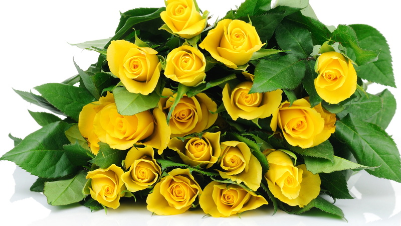Yellow, 2K, Flowers, Roses, Bouquet