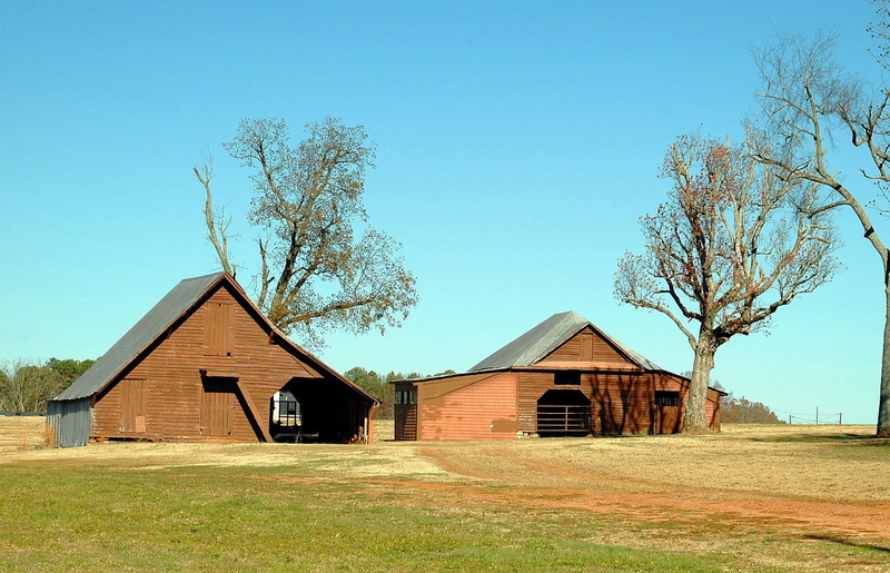 house, tree, grass, wooden, countryside, 2K, business, farmland, rural, agricultural building, barn, barn shed, natural, farm, farmhouse, built structure