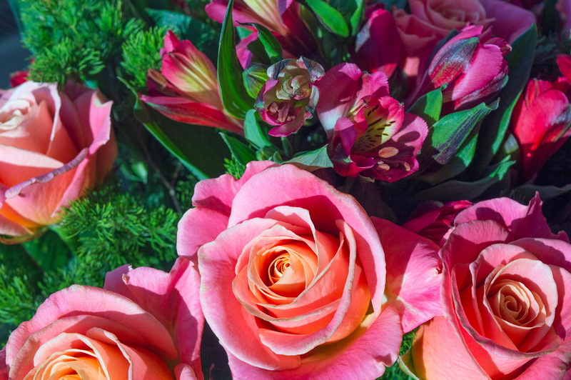 vulnerability, freshness, pink color, flowering plant, multi colored, plant, flower arrangement, high angle view, no people, pink roses, romance, alstroemeria