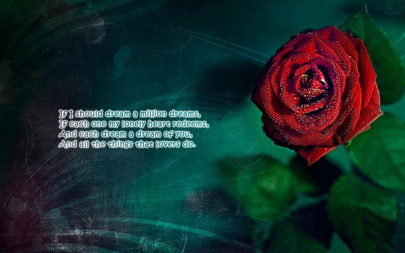 bokeh, quote, 1080P, mood, poem, motivational, text, typography
