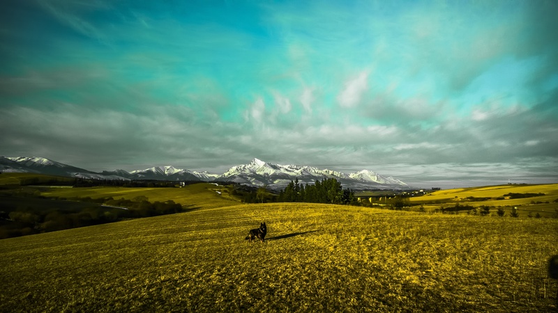 tranquility, snowcapped mountain, scenics - nature, cloud - sky, non-urban scene, fields, 4K, green color, environment, mountain range, landscape, grass