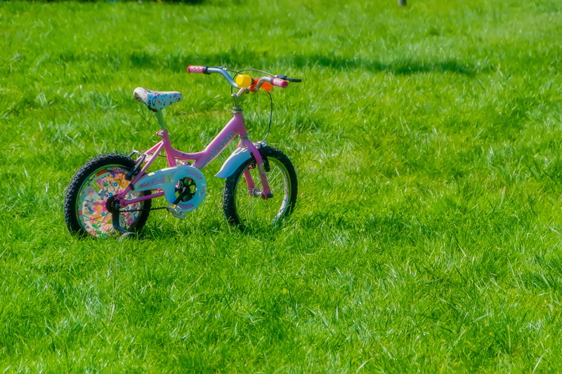 bicycle rides, pink bike, in background, lawn, toy, plant, bicycle, sport, chan, land vehicle, product photo, outdoors, bike, no people, grass, rides, day