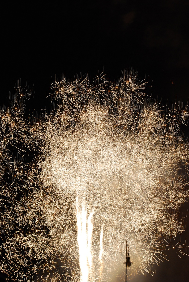 light, motion, crida, burning, night, firework - man made object, long exposure, illuminated, celebration, event, plant, fireworks, no people, firework