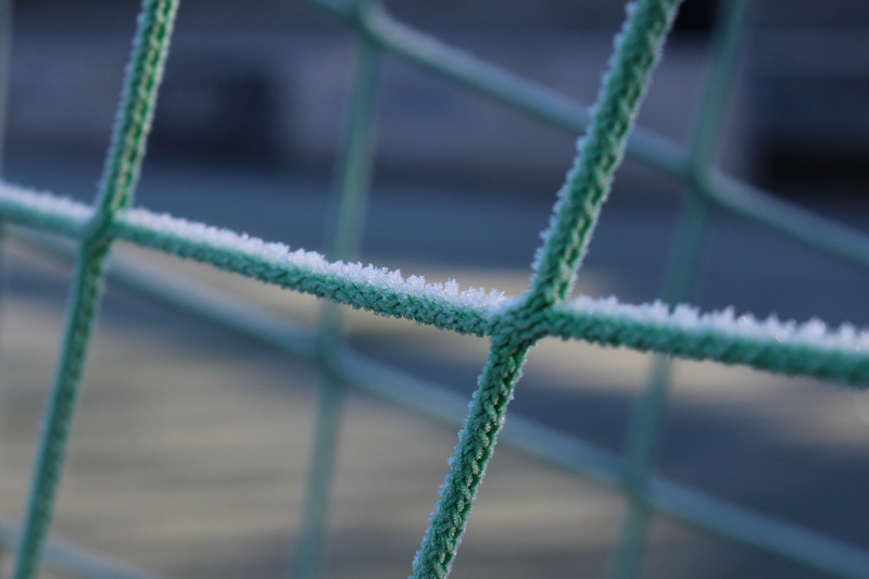 pattern, winter, green color, sport, winterpause, net - sports equipment, full frame, high angle view, rope, close-up, no people, football, nature, selective focus