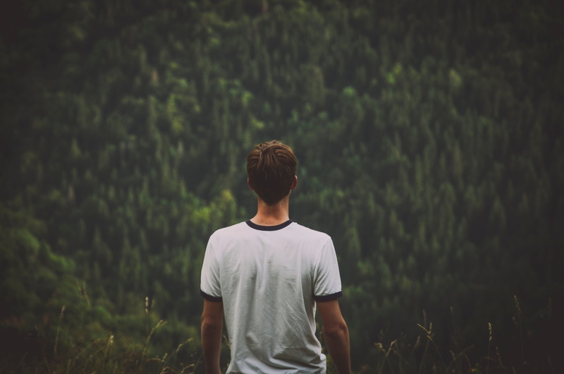 tree, color Image, people, young adult, casual clothing, standing, outdoors, relaxation, forest, white, caucasian Ethnicity, rear View, man, white and black