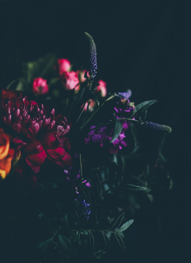 bouquet, flowers, inflorescence, flower arrangement, focus, focus on foreground, petal, no people, flower head, pollen, plant, nature, summer, flowering plant