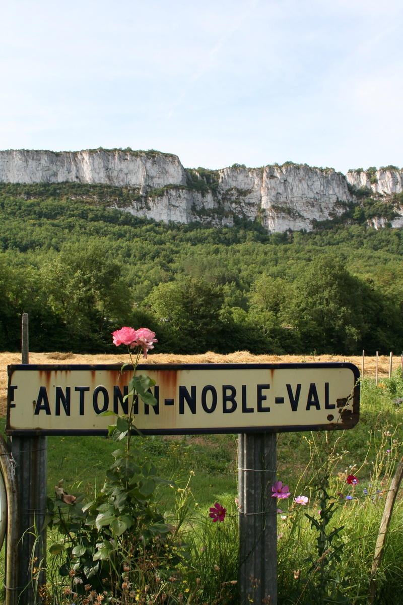 grass, flower, communication, western script, landscape, antonin noble val, plant, nature, 2K, midi-pyrenees, flowering plant, outdoors, day, green color