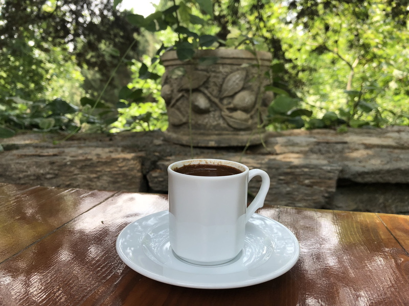 refreshment, cup, no people, caffeine, delicious, coffee, conversation, coffee - drink, turkish coffee, saucer, traditional, mug, focus on foreground, plant