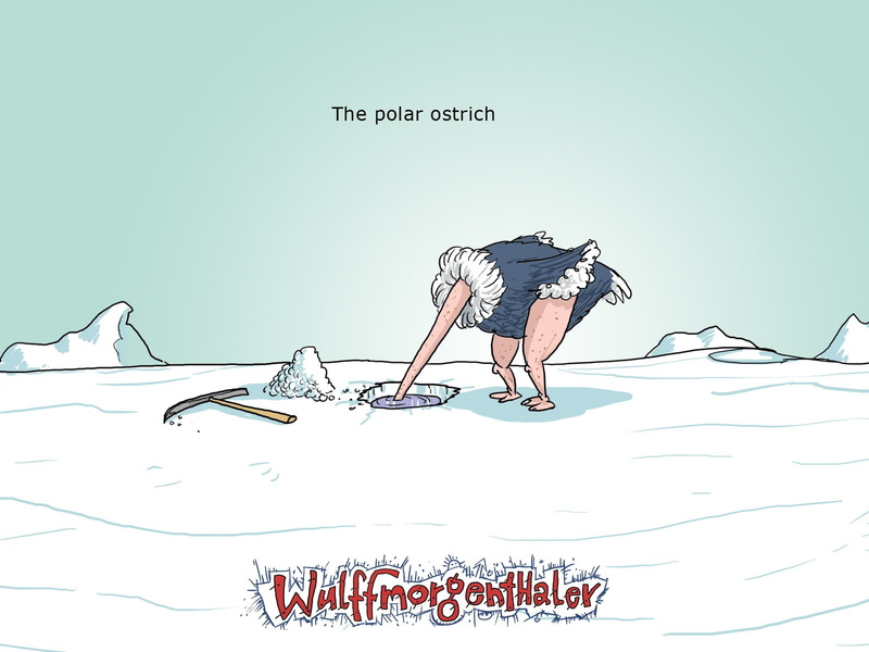 ostrich, Wulffmorgenthaler, caricature, 720P, hole, humor
