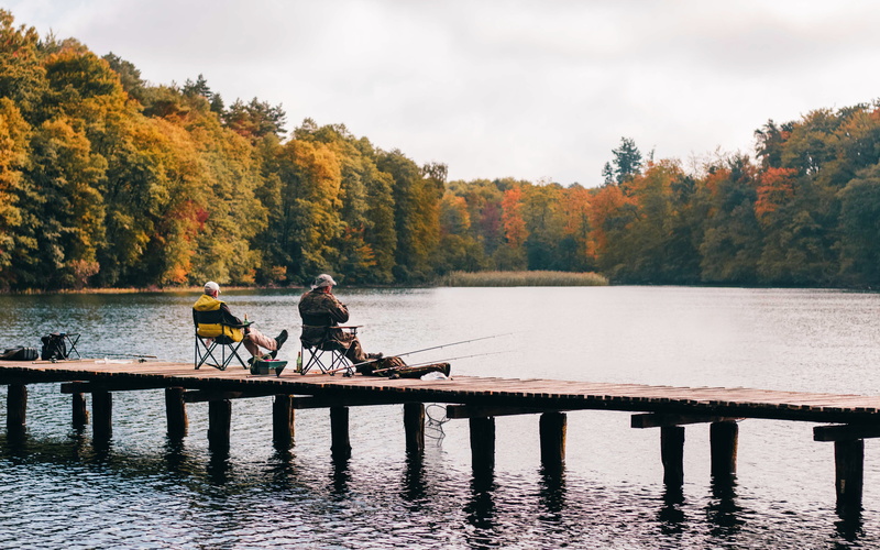 autumn, pier, outdoors, day, relaxation, jetty, tranquility, tree, scenic, bridge, recreation, forest, waterfront, woods, plant, trees, dock, two, two people