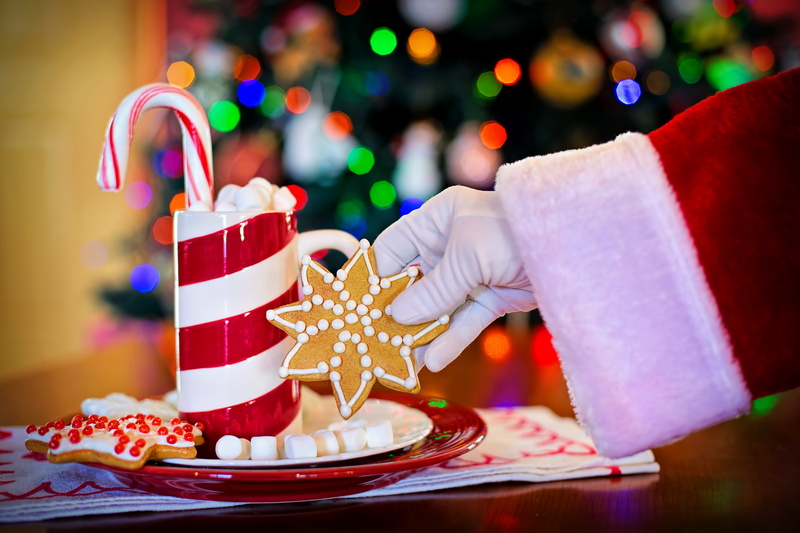 cocoa, 5K, one person, cookies, holiday, christmas eve, indulgence, human hand, hot, tasty, christmas decoration, cake, festive, christmas, sweet, food