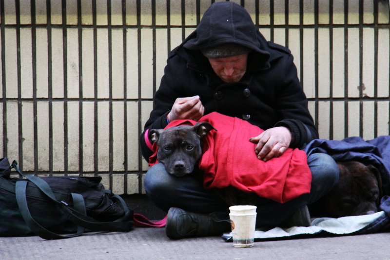city, mammal, hood - clothing, top, street, london, poor, full length, domestic, homeless, clothing, apparel, portrait, 2K, social issue, pets, warm clothing