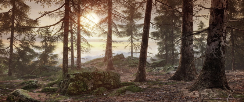 forest, woodland, pine tree, beauty in nature, plant, scenics - nature, land, nature, outdoors, tree, syberia 3 4k best picture ever, tranquility, 4K