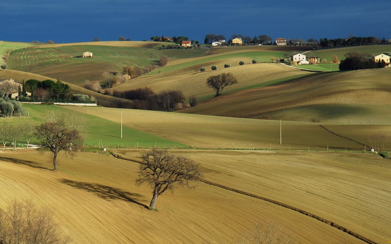 field, farm, tranquil scene, beauty in nature, outdoors, agriculture, landscape, nature, environment, land, sky, scenics - nature, tree, hd full  nature inspired 1920x1200