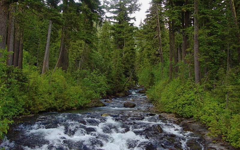 1080P, hd full  nature inspired 1920x1200