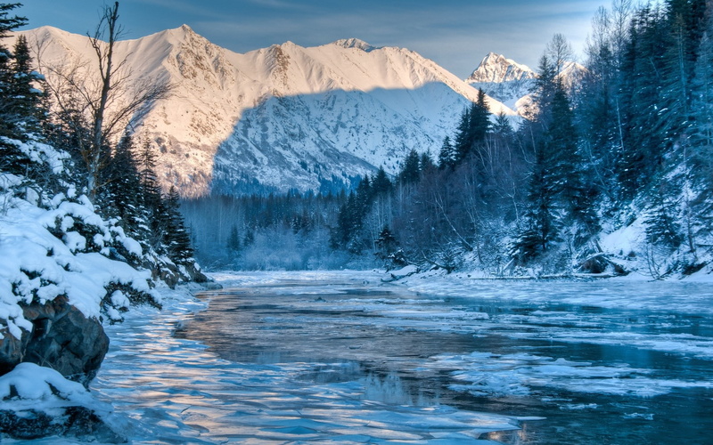 cold temperature, day, outdoors, plant, hd full  nature inspired 1920x1200, tree, winter, beauty in nature, tranquil scene, idyllic, environment, waterfront