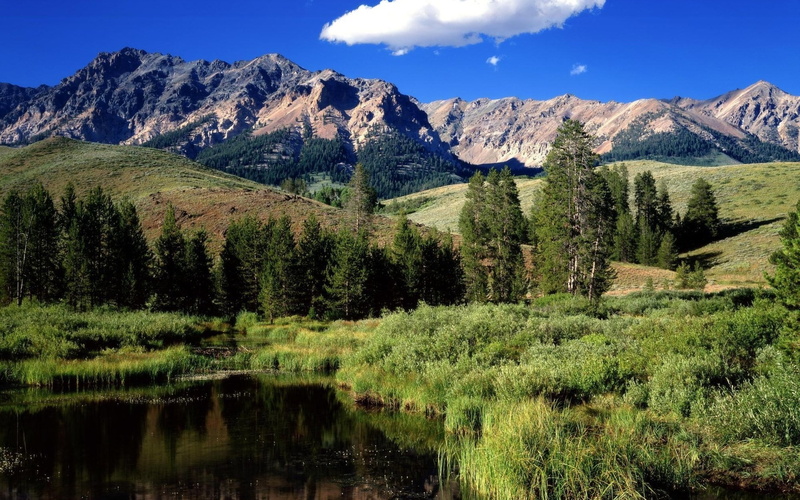 land, plant, environment, growth, grass, hd full  nature inspired 1920x1200, non-urban scene, day, tree, scenics - nature, 1080P, tranquil scene, mountain range