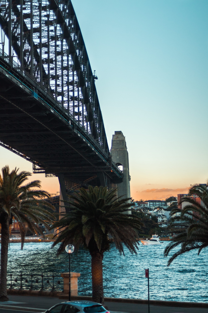 palmtrees, therocks, travel, bridge, sunset, city, harbourbridge, palm tree, sydney, tree, connection, teel, transportation, tourism, travel destinations