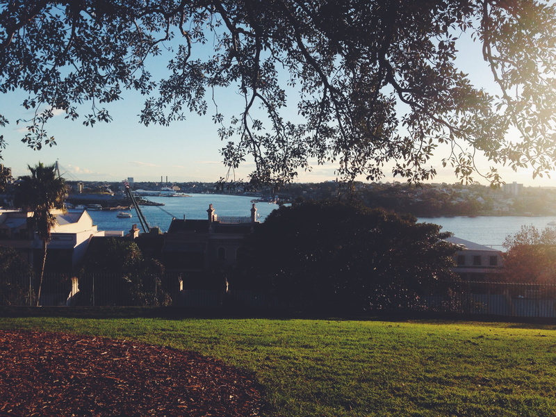 therocks, park, plant, horizon, day, australia, tranquility, real people, beauty in nature, scenics - nature, city, sunlight, millers point, grass, river