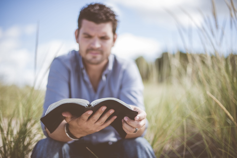 leisure activity, reading, humble, grass, nature, publication, read, outdoors, young adult, men, guy, casual clothing, contemplation, adult, meditate, meditation