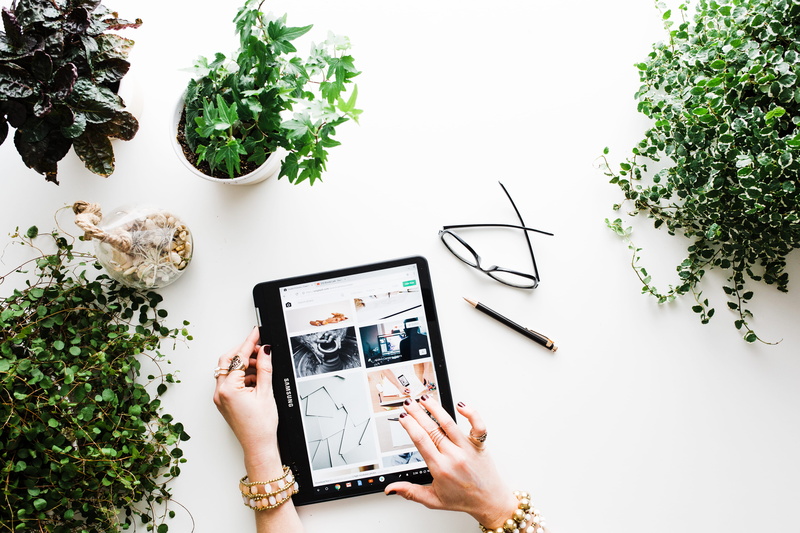 holding, black, nature, laptop, digital tablet, outdoors, human hand, wireless technology, plant, adult, google chromebooks, tree, connection, mobile phone