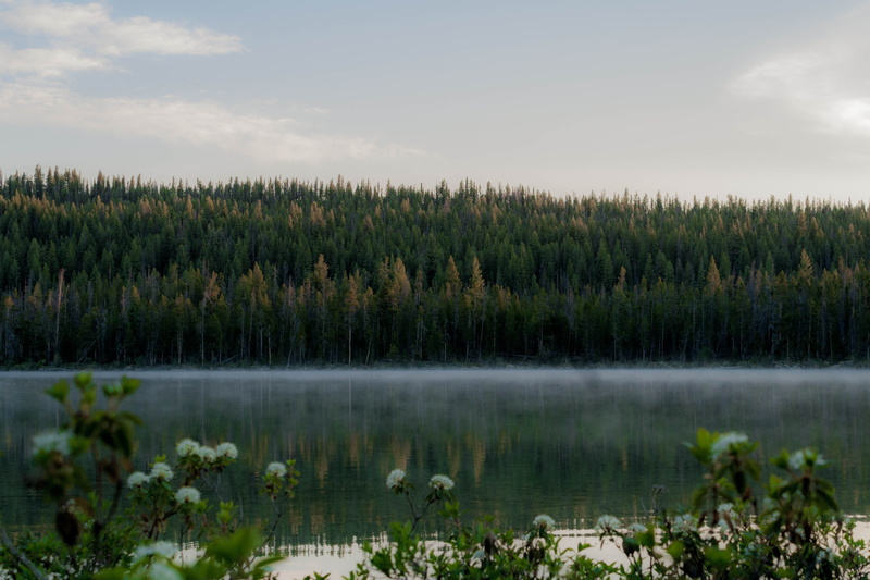 trees, water, life, fitness, centered, reflection, landscape, clouds, growth, elements, achieve, scenics - nature, green color, accomplish, green, valley