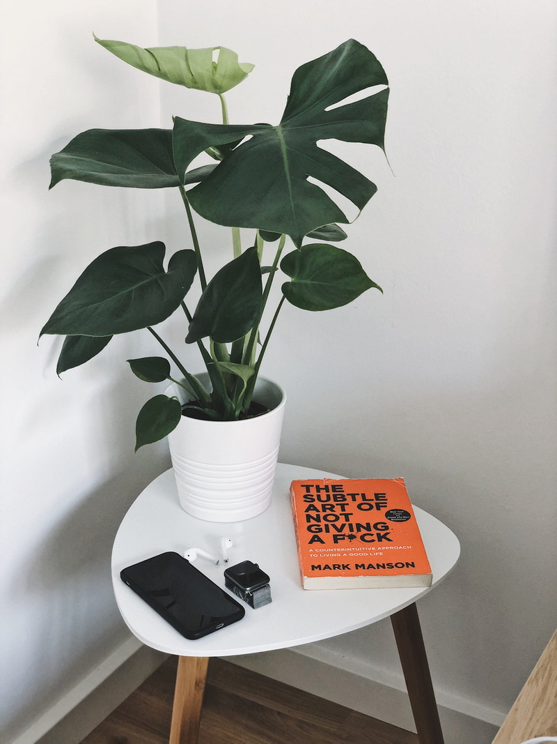 growth, flower pot, copenhagen, airpods, leaf, wall - building feature, iphone, indoors, houseplant, 4K, vase, denmark, flower, apple, beauty in nature