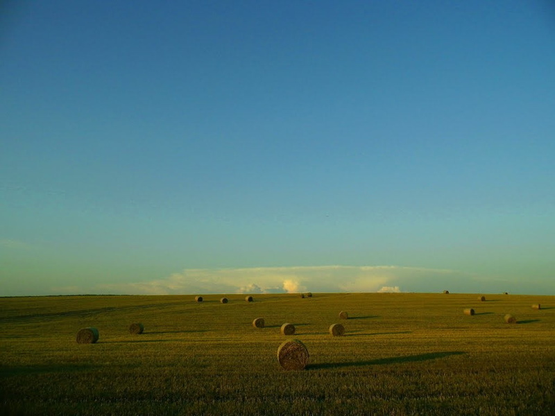 land, wooden, rural scene, plant, field, copy space, agriculture, Poland, brown, farm, blue, bed, bale, 480P, beauty in nature, scenics - nature, sky