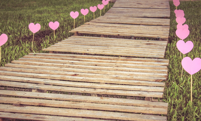 the way forward, plants, footpath, field, 4K, hearts, decoration, high angle view, day, flower, wood, angle, design, view, growth, purple, in a row, wood paneling