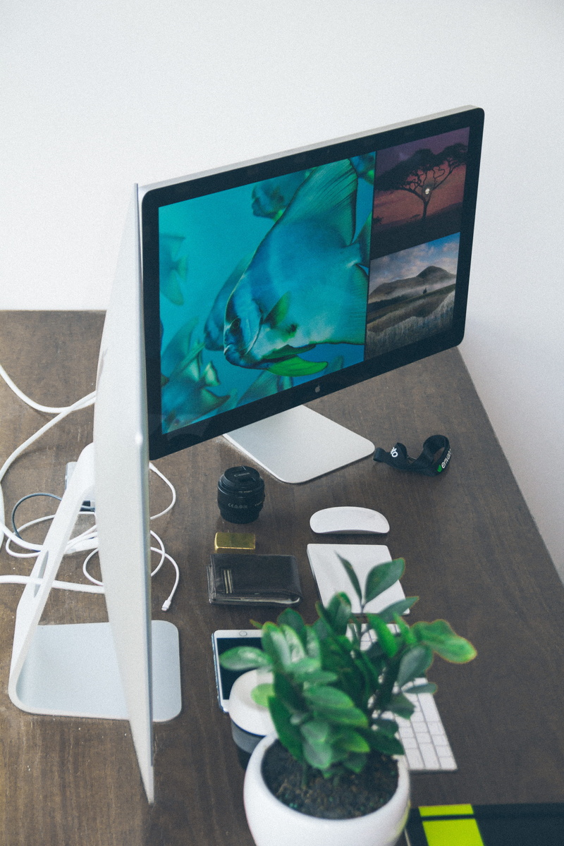 computer, setup, apple setup, work table, 5K, screen, close-up, computer monitor, mac, still life, home, wireless technology, working, tree, vietnam, plant part
