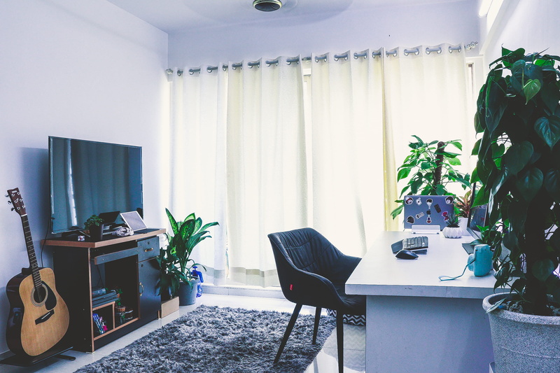 leisure activities, nature, display, no people, growth, table, desk setup, rug, absence, indoors, monitor, day, curtain, potted plant, desk, room, seat