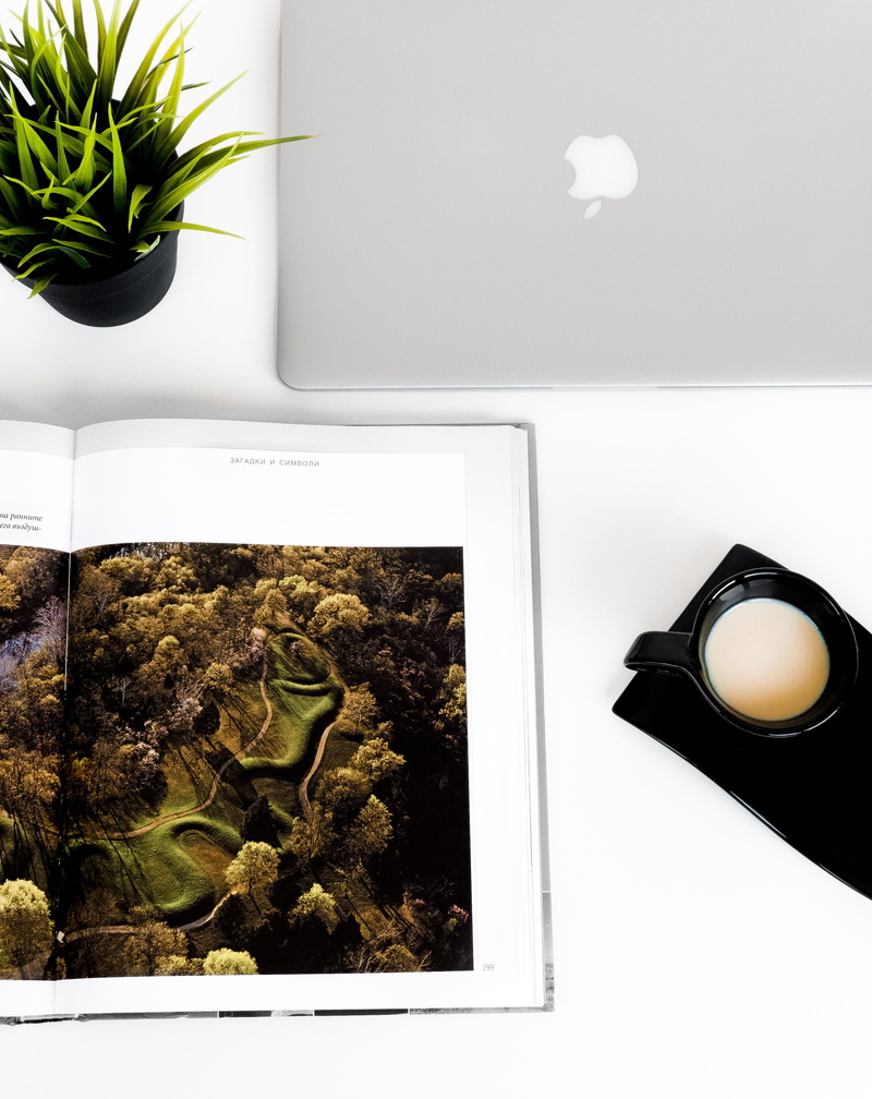 apple, freshness, poster, vegetation, directly above, macbook, growth, collage, design, nature, work, blossom, 2K, high angle view, wellbeing, advertisement