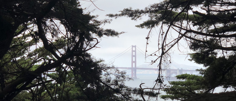 built structure, plant, outdoors, iphonex, travel, branch, suspension bridge, 4K, lands end trail, san francisco, nature, tourism, bridge, golden gate bridge