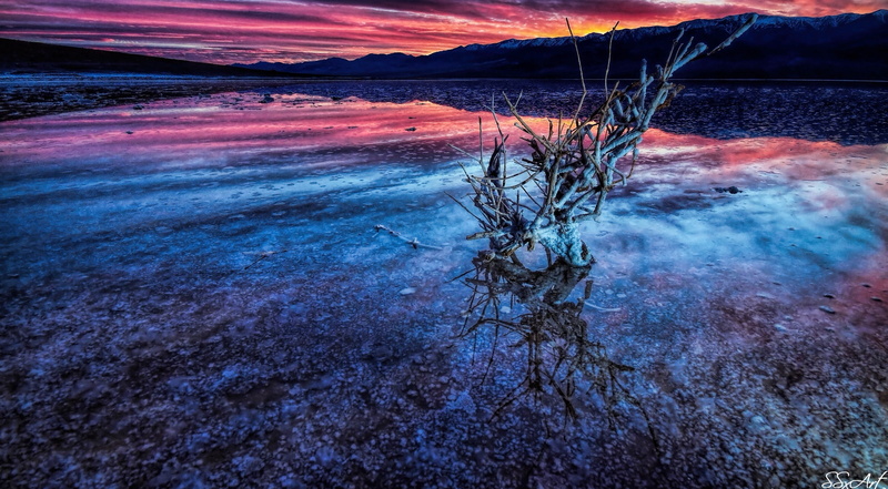 iphone4, tree, nokian lumia 1020, power in nature, scenics - nature, tranquil scene, brown, non-urban scene, nokia, ipadmini, waterfront, sunset, valley