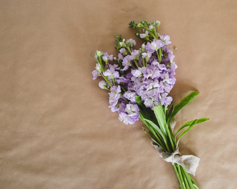 wedding, spring, mockup, top, nature, 2K, flat, freshness, vulnerability, fragility, plant part, purple, floral, leaf, close-up, desk, inflorescence, frame