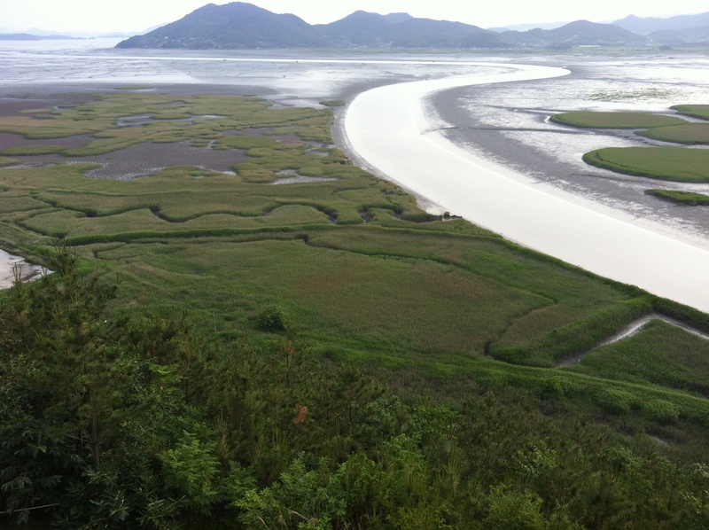 seaway, beauty in nature, mountain, idyllic, day, water, suncheon bay, tranquility, environment, outdoors, no people, green color, scenics - nature, tidal