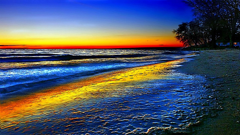 3d and abstract, wave, 1080P, colorful, ocean, beach, rainbow, trees