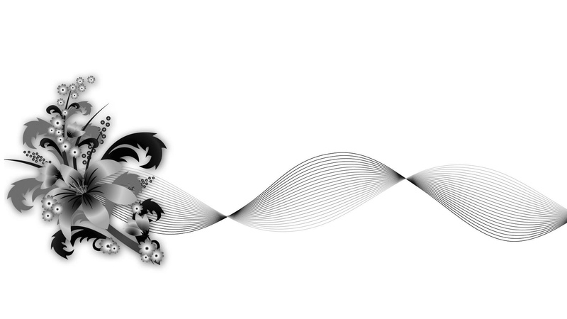 swirl, vector, white, spring, flowers, abstract, summer, floral, 1080P, black, 3d and abstract, wave