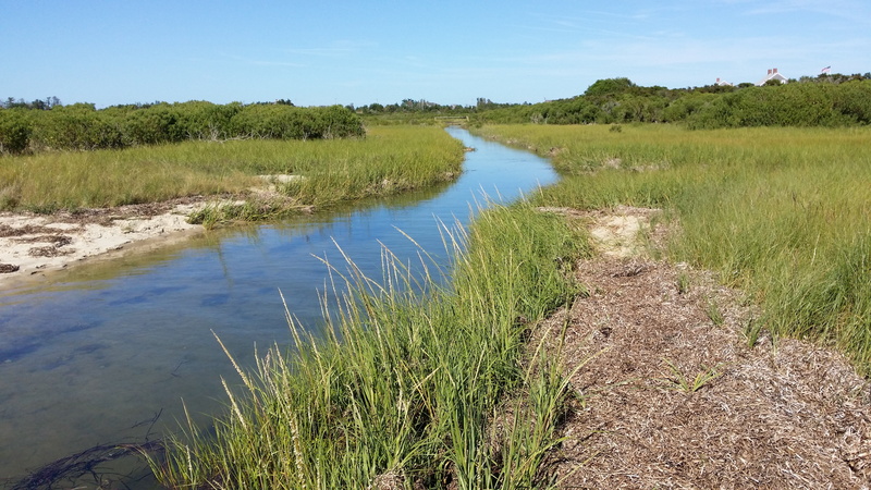 canal, scenics - nature, stream - flowing water, tranquility, tidal, land, grass, salt marsh, sky, salt, outdoors, non-urban scene, no people, swamp, landscape