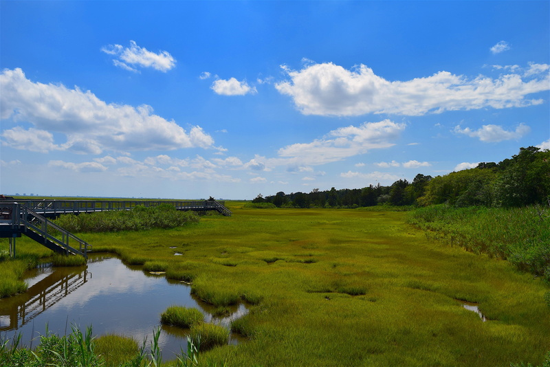 field, scenic, plant, sky, cloud - sky, reflection, swamp, rural, blue, coastal, 4K, nature, no people, land, tidal, water, landscape, ecosystem, scenics - nature