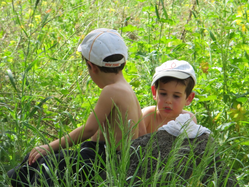 Child, green, women, together, two people, boys, Children, Grass, girls, sister, field, plant, innocence, Nature, leisure activity, males, boy, people
