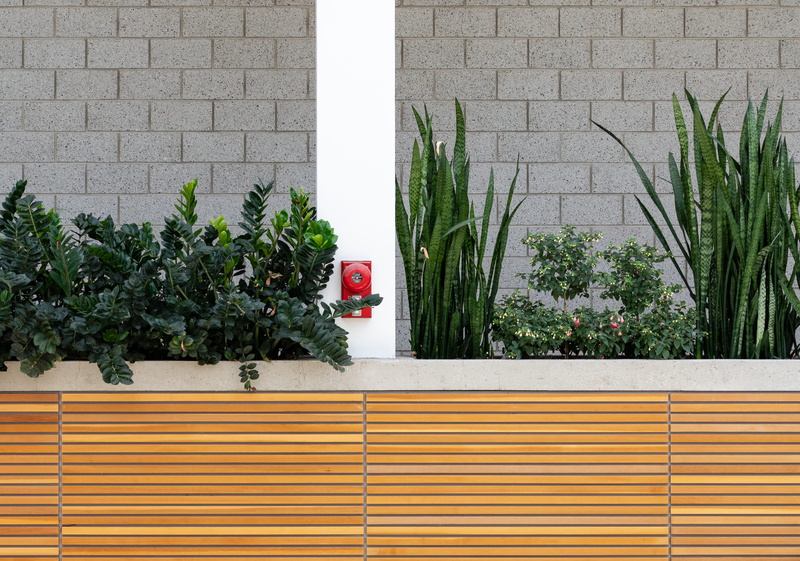 botanical, growth, outdoors, green, plant, building interior, plants, wood, day, assorted, fire alarm, architecture, city, green color, 5K, red, transportation