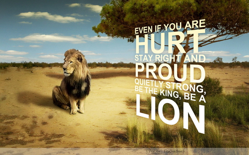 brown, lion, overlay, Misc, Quote, 1080P, text