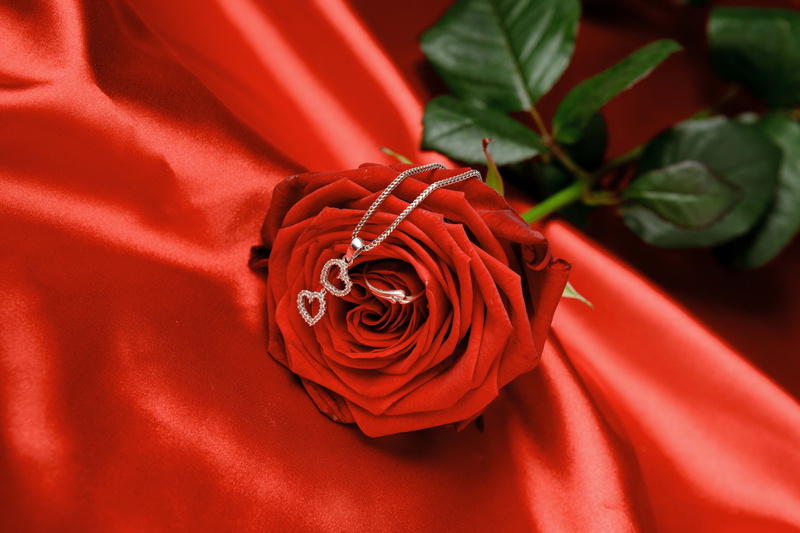 love, close-up, single Flower, flower head, wedding, nature, beauty in nature, no People, single Object, 5K, plant, gift, rose, textile, romance, backgrounds