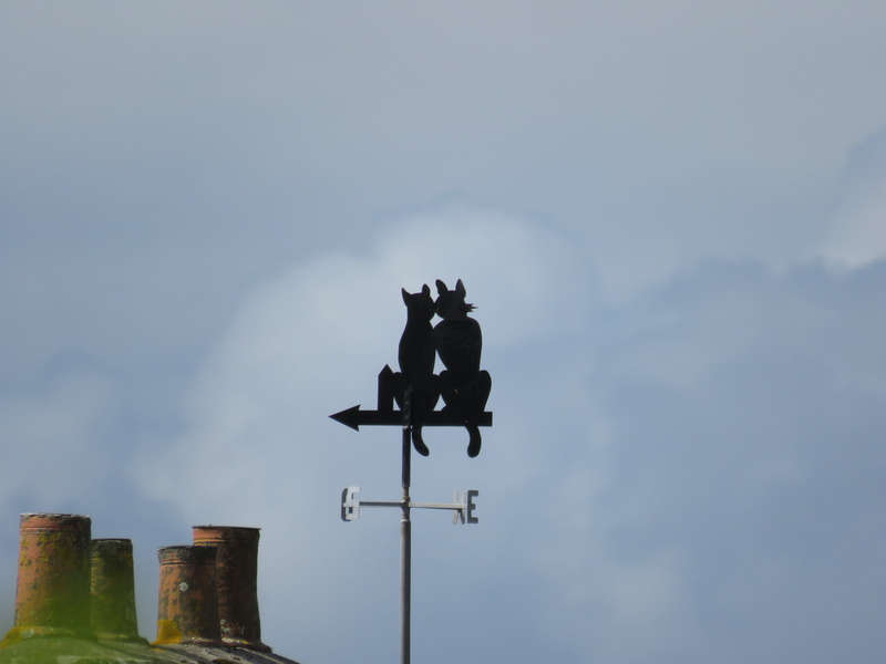 representation, sign, day, animal, animal representation, cat, livestock, guidance, animal themes, sky, low angle view, architecture, 5K, direction, weather vane
