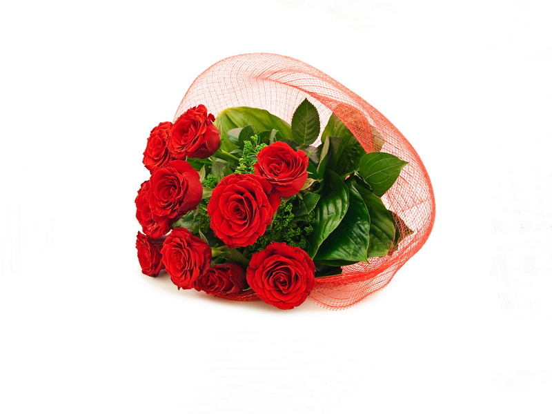 flowers, red, flower arrangement, rose, studio shot, anniversary, birthday, 4K, white background, blossom, single Object, petal, bunch of flowers, day
