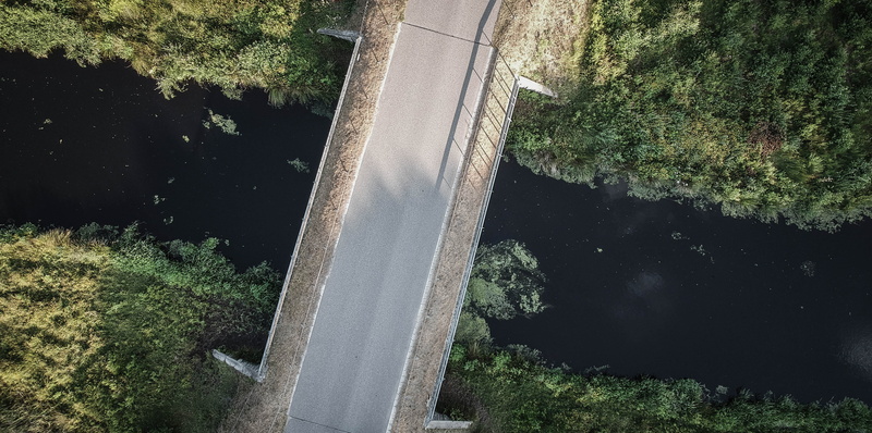 road, photography, road trip, travel, flora, green, sunlight, growth, bush, connection, motorway, aerial, woodland, view, outdoors, day, nature, high angle view