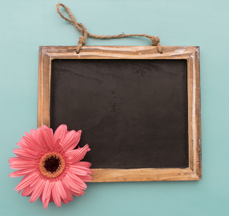 antique, close-up, blank, no people, black, frame, old, backgrounds, flowering plant, studio shot, chalkboard, brown, flowers, freshness, copy Space, flower head