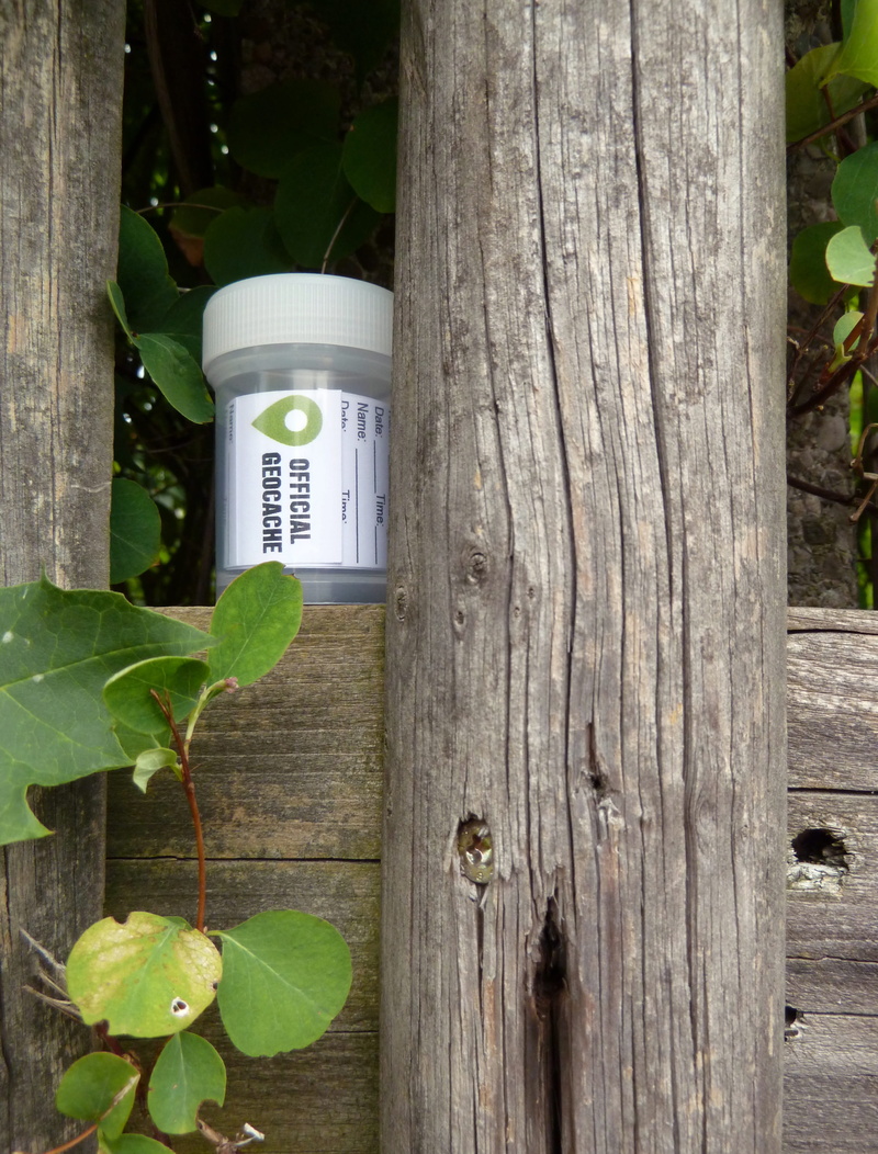 Cache, treasure hunt, adventure, wood - material, leaf, 4K, Geocache, plant, to find, barrier, boundary, built structure, ivy, logbook, play, day, growth